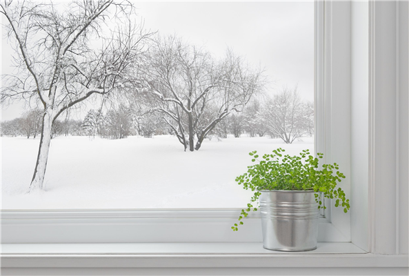 Energy Efficiency Tips: The Benefits of New Siding and Windows