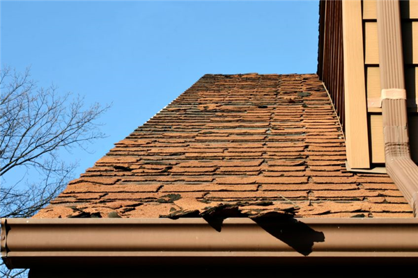 How to Help Your Roof Withstand the Minnesota Winter