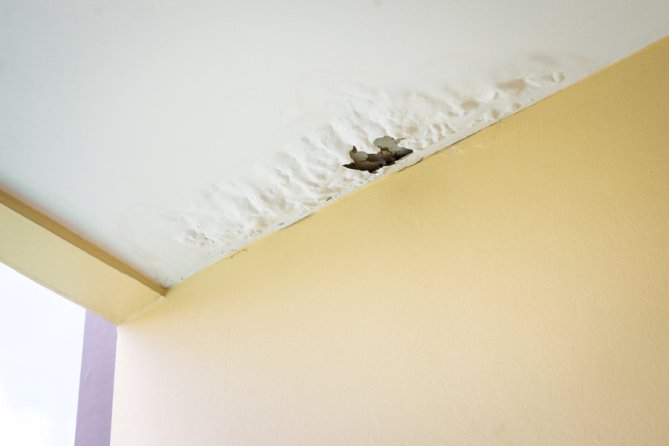 How to Find the Source of Water Damage in Your Home