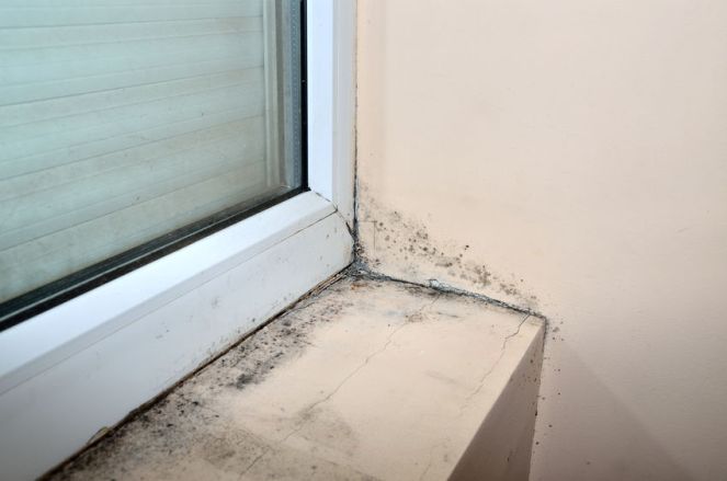Signs You’re In Need of New Windows