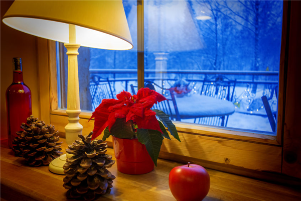 Are Your Windows Ready for Winter? 