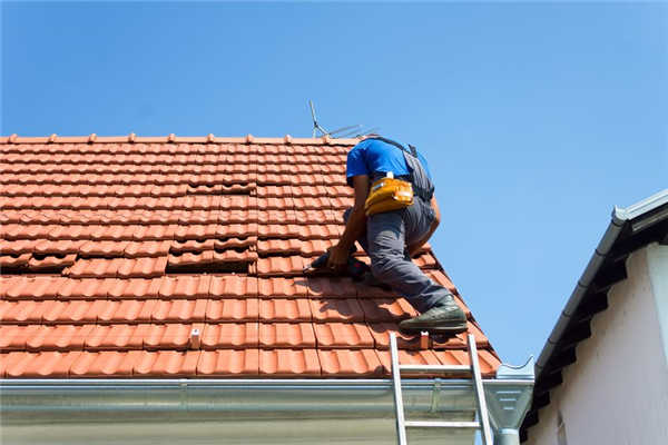 What Should You Do If Your Roof Was Damaged This Winter?