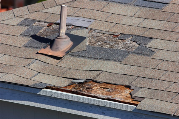 Damage Repair for Your Home