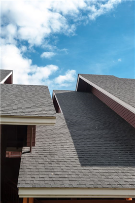 Why You Should Have Your Home Inspected During the Spring