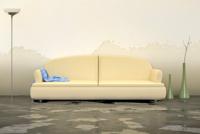 What to Do If Your Basement Floods in Minnesota