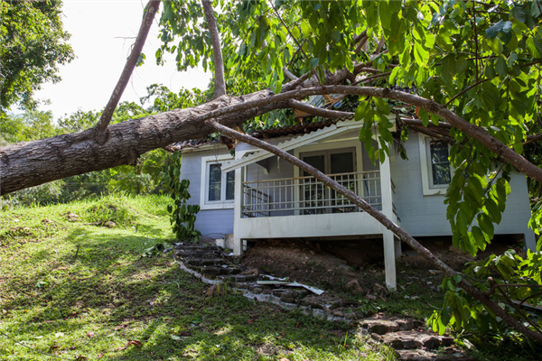 Tips For Choosing a Disaster Restoration Company
