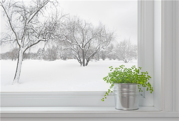 Energy Efficiency Tips: The Benefits of New Siding and Windows Image