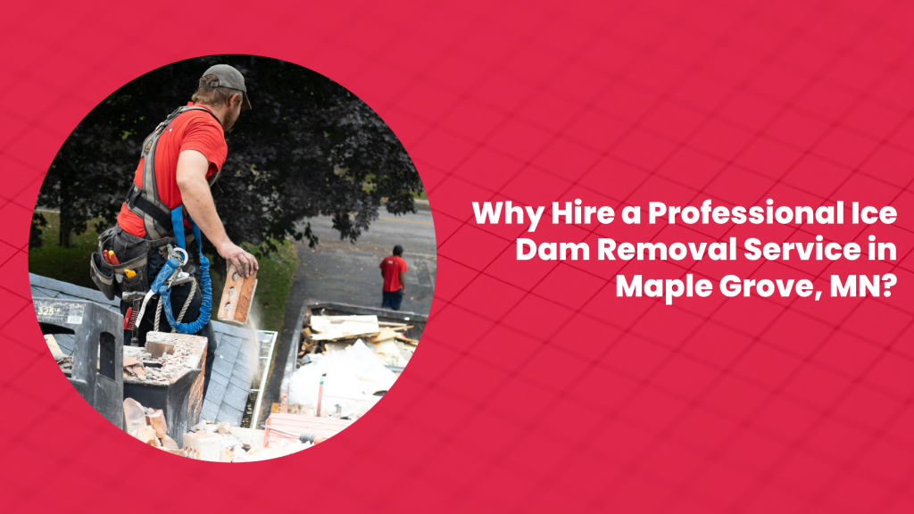 Why Hire an Ice Dam Removal Service in Maple Grove, MN